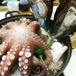 착한해물찜 - 경기, 용인-기흥구 동백 신갈 | 맛집검색 식신