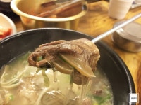 동산설렁탕 - 경기, 안산-상록구 한양대 | 맛집검색 식신