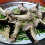 철철복집 - 서울 강북, 시청 | 맛집검색 식신