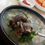 전국제일순대 - 경북, 구미 | 맛집검색 식신