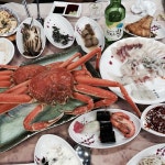 삼형제횟집 - 경북, 포항 | 맛집검색 식신