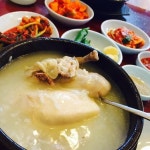 원조한방삼계탕 - 서울, 성북구, 종암동 | 맛집검색 식신