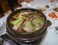 식신 : 대한민국 No.1 맛집
