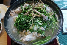 식신 : 대한민국 No.1 맛집