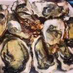 구울래찔래 - 경기, 용인-수지구 죽전 | 맛집검색 식신