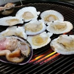 구울래찔래 - 경기, 용인-수지구 죽전 | 맛집검색 식신