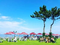 바다정원 - 강원, 고성군, 토성면 | 맛집검색 식신