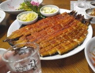 남강장어(내당동) - 대구, 서구, 내당동 | 맛집검색 식신