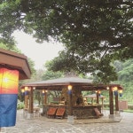 포크빌리지 하얏트 호텔 - 제주, 중문 예래 | 맛집검색 식신