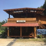 잎새바람 - 강원, 동해 망상 | 맛집검색 식신 잎새바람  - 강원, 동해 망상 | 맛집검색 식신