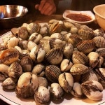 참새방앗간 - 부산, 해운대구, 중동 | 맛집검색 식신