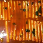 서강쇠떡볶이 - 서울 강남, 압구정-도산공원 로데오 | 맛집검색 식신