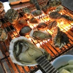 해당화굴수산 - 충남, 보령 | 맛집검색 식신