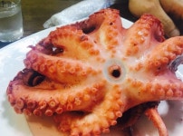 엉터리식당 - 부산, 영도구, 남항동3가 | 맛집검색 식신