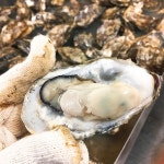 식신 : 대한민국 No.1 맛집