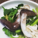 목포세발낙지 - 서울, 은평구, 불광동 | 맛집검색 식신