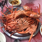 40년전통의 할매손칼국수 - 경북, 포항시 남구, 오천읍 | 맛집검색 식신