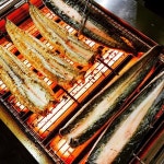 장어야|경기 / 일산동구/정발산/백석, 씨푸드맛집 | 식신 맛집추천