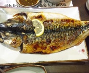 해초랑 - 서울 강남, 구로 대림 가산 금천구 | 맛집검색 식신