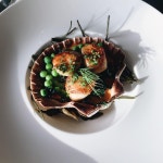 더 피쉬 피플 카페 (The Fish People Cafe) - 서유럽, 영국-글래스고 | 맛집검색 식신