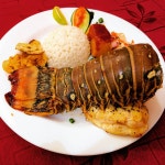 엘 꼬시네로 (El Cocinero) - 미주 중남미, 쿠바-아바나 | 맛집검색 식신