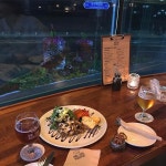 아울앤푸시캣 - 부산, 수영구, 남천동 | 맛집검색 식신