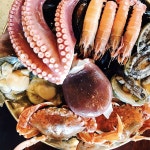 봉쉡120 - 제주, 제주시, 애월읍 | 맛집검색 식신
