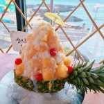 이런날N - 제주, 제주시, 구좌읍 | 맛집검색 식신