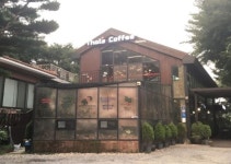 망고식스 서울개화점 - 서울 강남, 김포공항 방화 마곡지구 | 맛집검색 식신