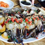 대지호프커피 - 서울 강남, 강서 화곡 발산 등촌 | 맛집검색 식신