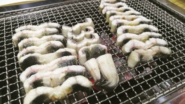 백세장어마을 - 경기, 부천시 | 맛집검색 식신