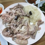 금성식당 - 경기, 용인-처인구 | 맛집검색 식신