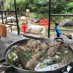 보은장식당 - 경기, 안양-만안구 | 맛집검색 식신 보은장식당  - 경기, 안양-만안구 | 맛집검색 식신
