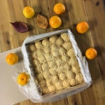 좋은날떡집 - 경기, 파주시 | 맛집검색 식신 좋은날떡집  - 경기, 파주시 | 맛집검색 식신