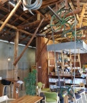 초당커피정미소 - 강원, 강릉시 | 맛집검색 식신