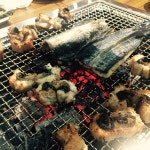 전집 - 경기, 파주시 | 맛집검색 식신