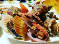 어촌다찌 - 경남, 통영 | 맛집검색 식신