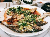 늘행복식당 - 경남, 통영 | 맛집검색 식신