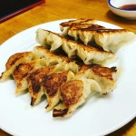 호운테이 餃子 宝雲亭 - 일본, 후쿠오카 | 맛집검색 식신