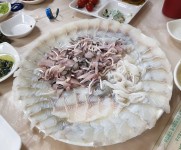 하동횟집 - 부산, 중구, 남포동4가 | 맛집검색 식신