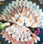 주문진항구횟집 - 강원, 강릉시, 주문진읍 | 맛집검색 식신