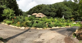 자작나무 이야기 - 경기, 용인-처인구 | 맛집검색 식신