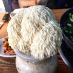 칠곡해물손칼국수 - 경기, 안성시 | 맛집검색 식신