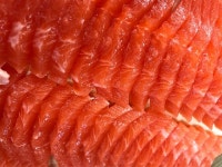 토담송어횟집 - 경기, 포천 | 맛집검색 식신