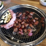 갈매기사랑 - 경기, 용인시 처인구, 역북동 | 맛집검색 식신
