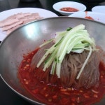 옥천전통냉면 - 경기, 양평군 양수리 | 맛집검색 식신