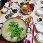 거송복어 - 대구, 군위군 | 맛집검색 식신