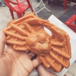 부흥횟집 - 강원, 동해 망상 | 맛집검색 식신