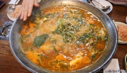엄마손태백물닭갈비 - 강원, 태백시, 황지동 | 맛집검색 식신