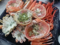 대게왕국 - 강원, 삼척 장호항 | 맛집검색 식신